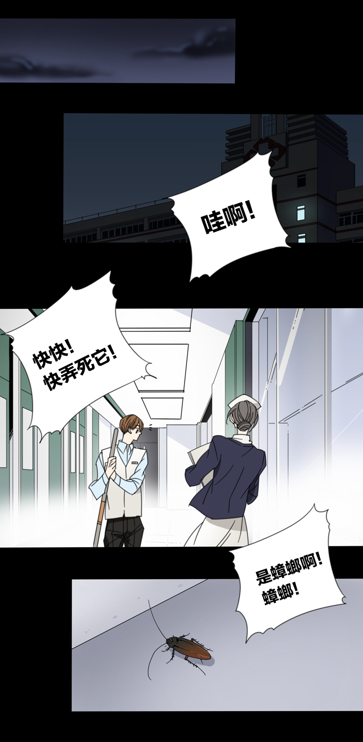 110猫⑦-第111话