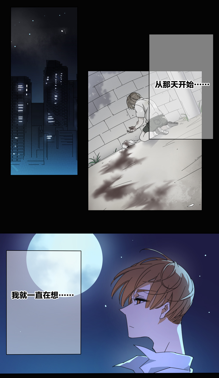 114猫⑪-第115话
