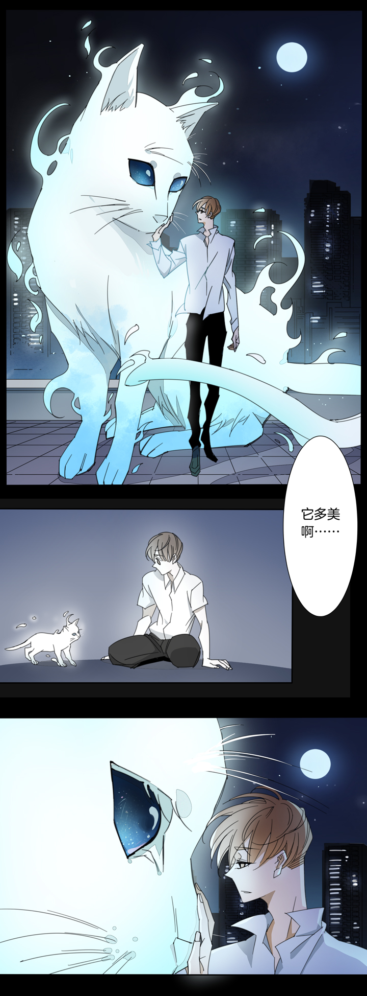 114猫⑪-第115话