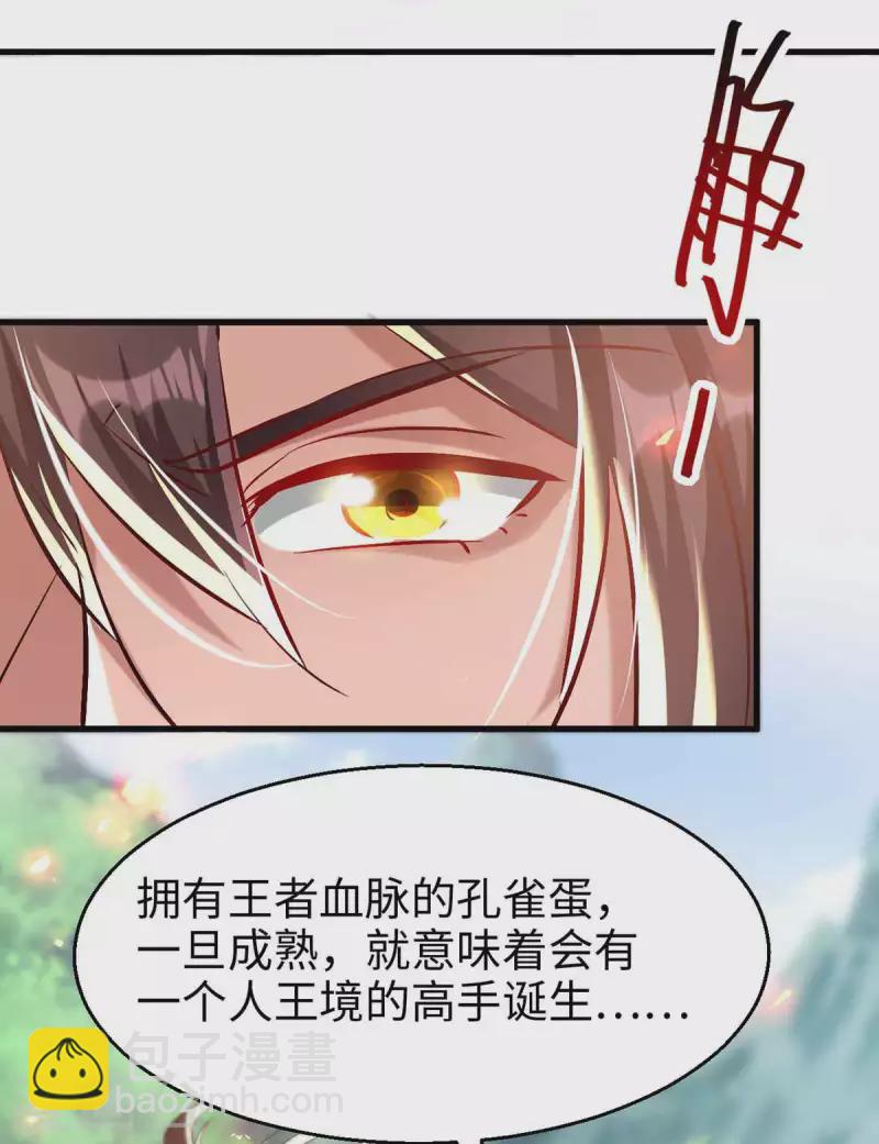 第229话 孔雀蛋-第229话