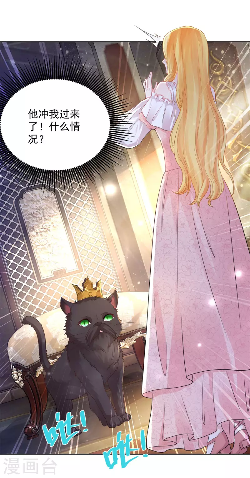 第129话 猫猫国王-第129话