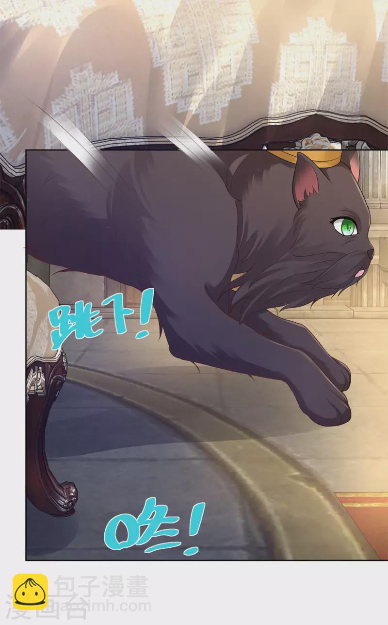 第129话 猫猫国王-第129话