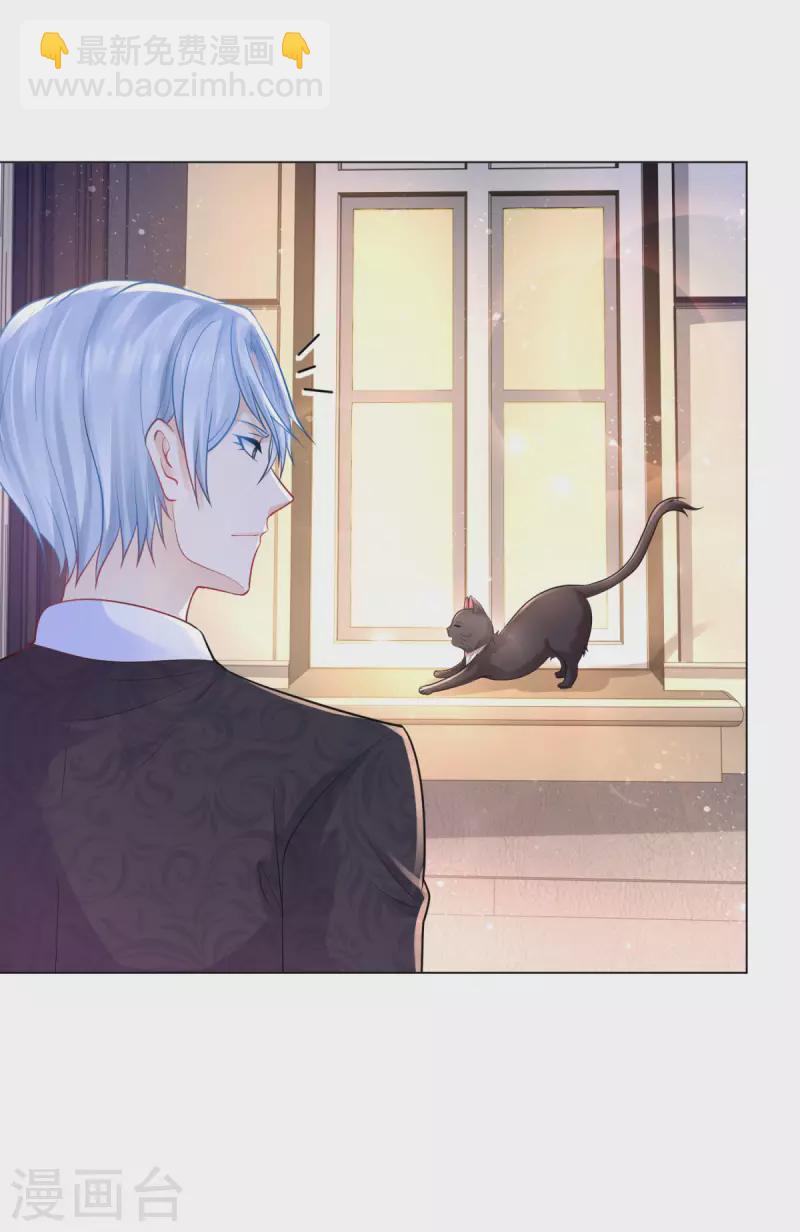 第165话 猫猫军团-第165话