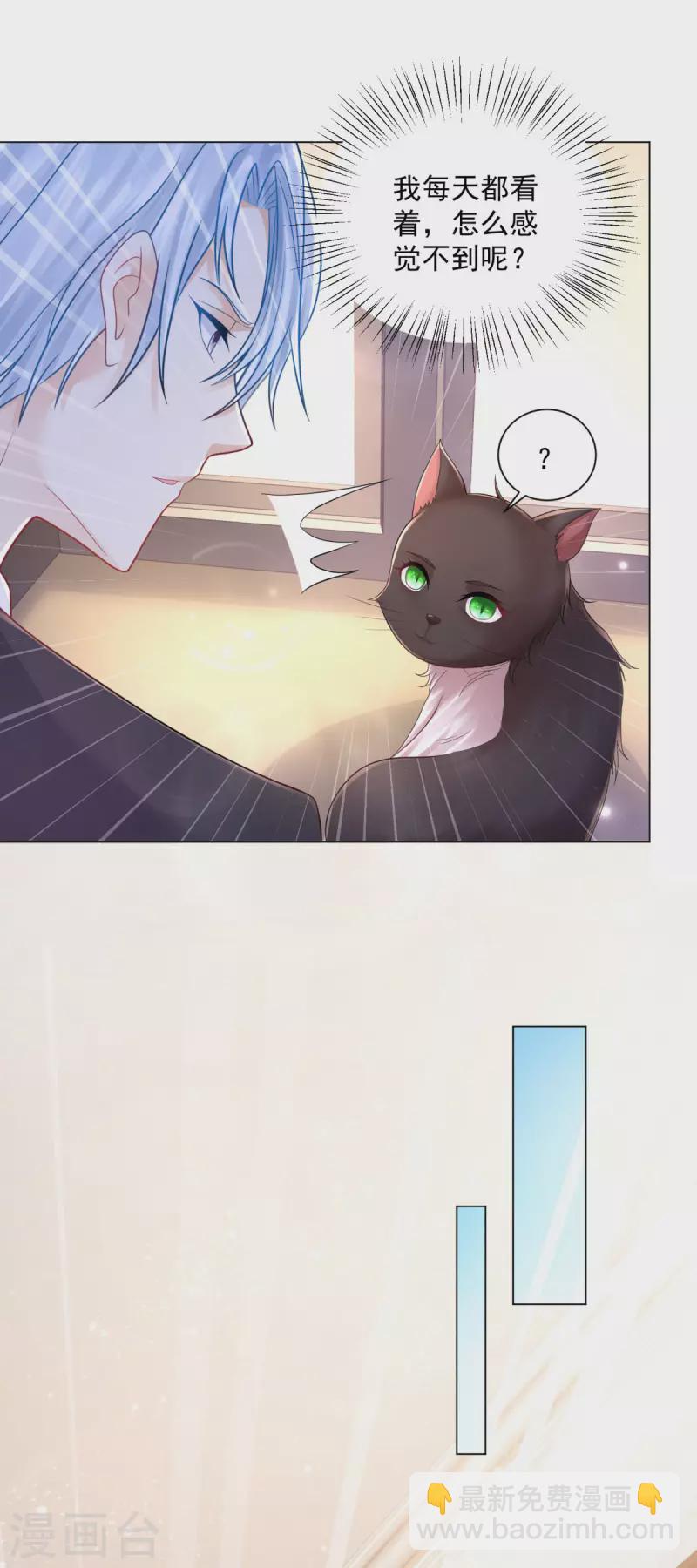 第165话 猫猫军团-第165话