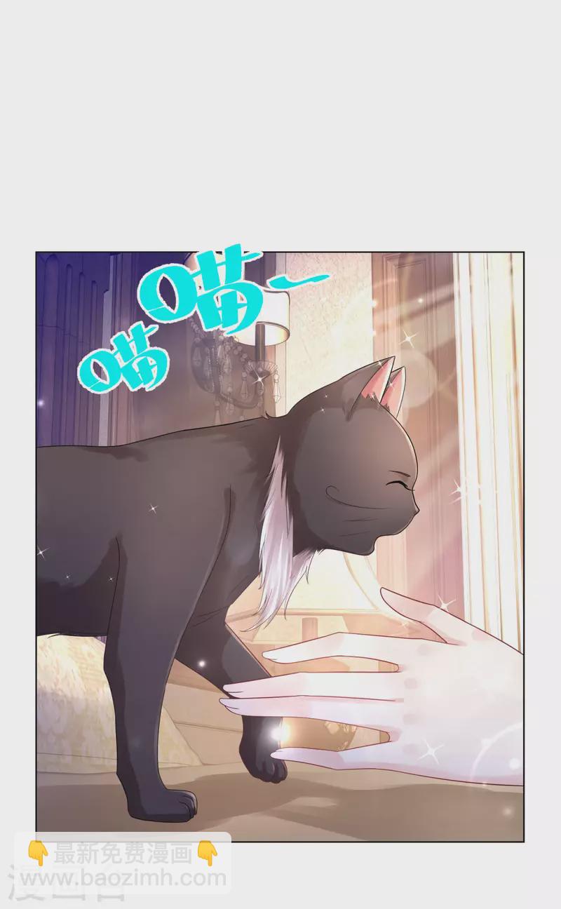 第165话 猫猫军团-第165话
