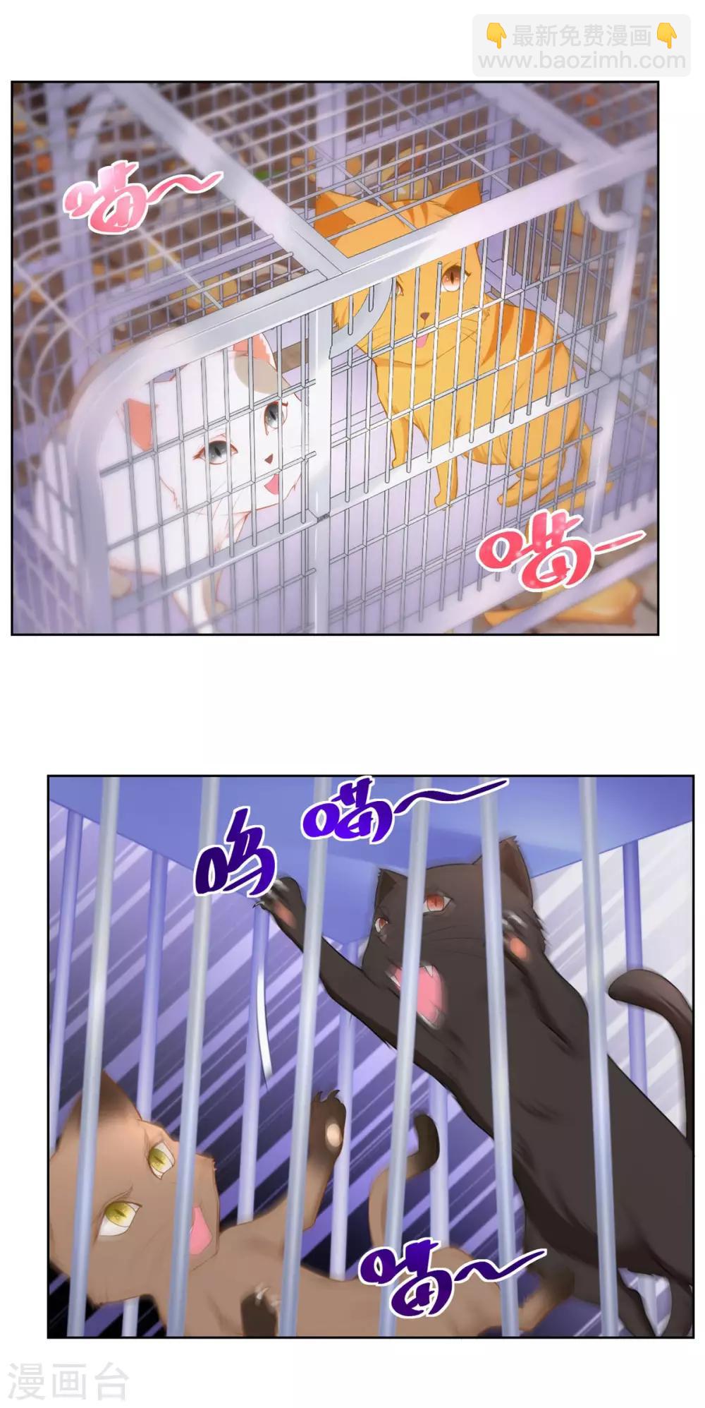 第3话 两只猫-第3话