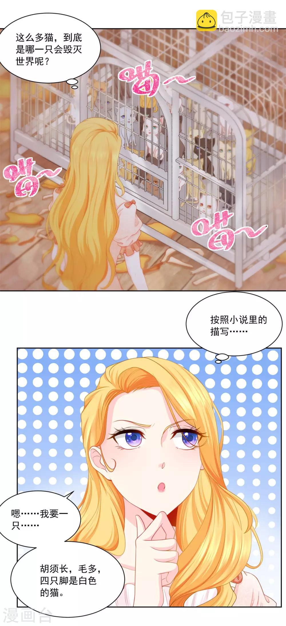 第3话 两只猫-第3话