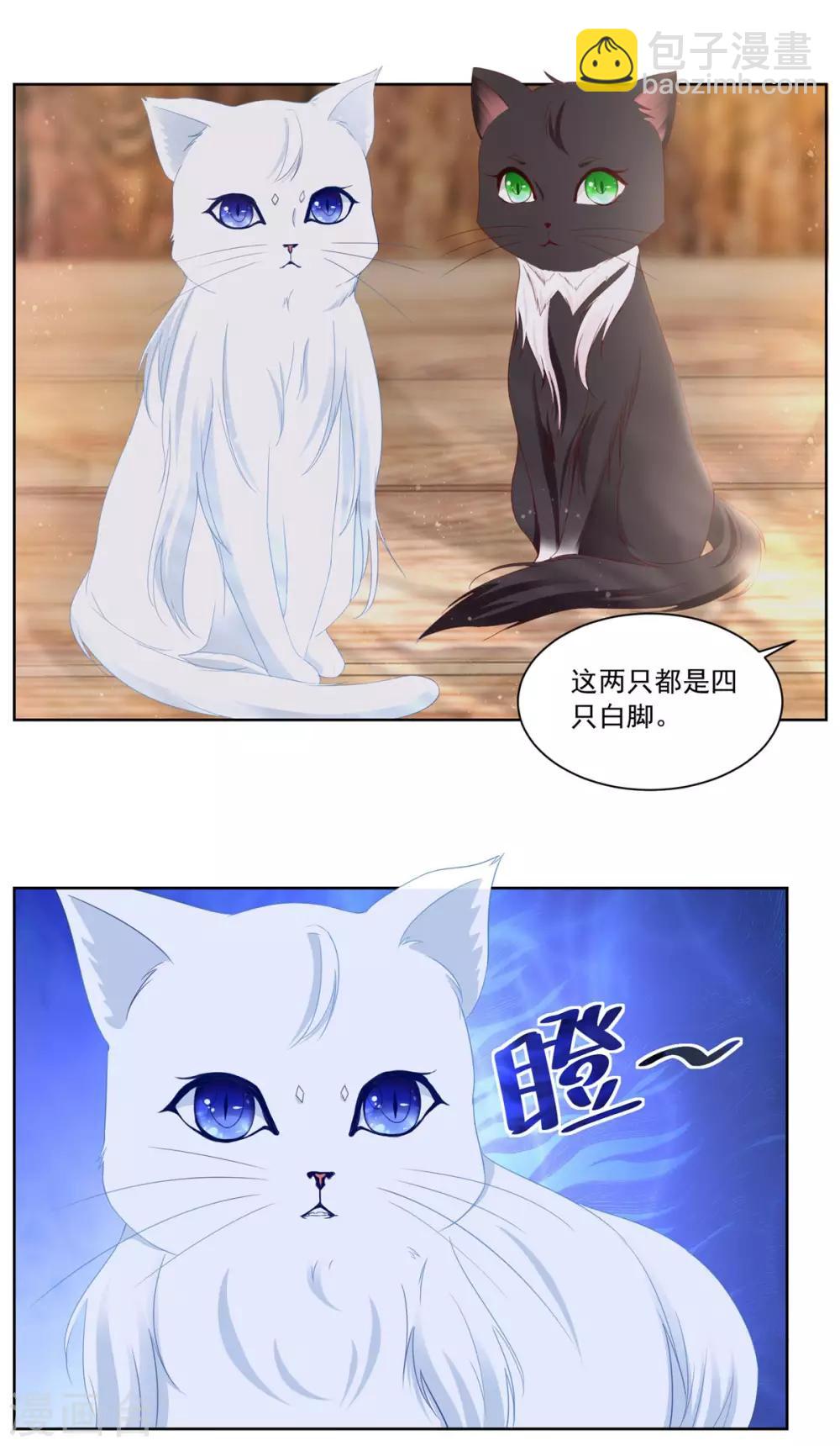 第3话 两只猫-第3话