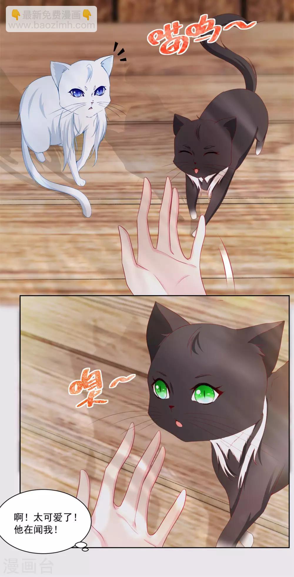 第3话 两只猫-第3话