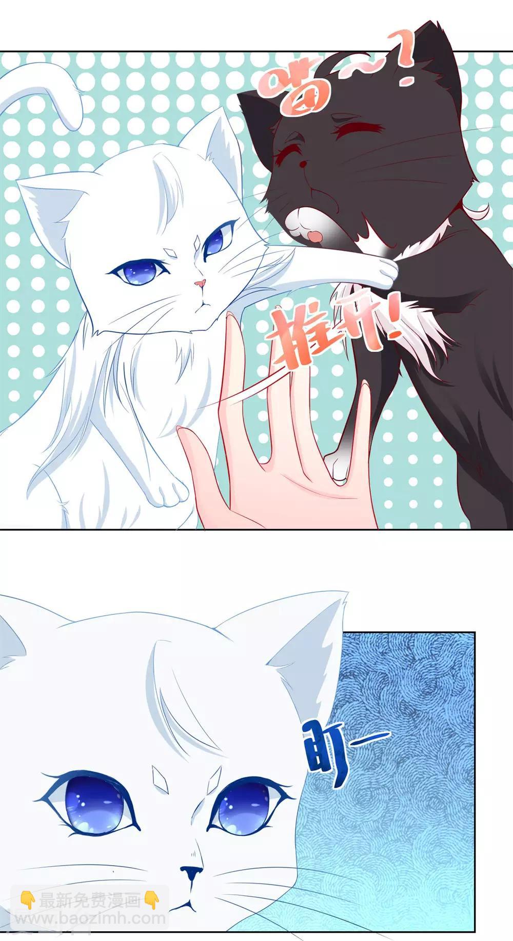 第3话 两只猫-第3话