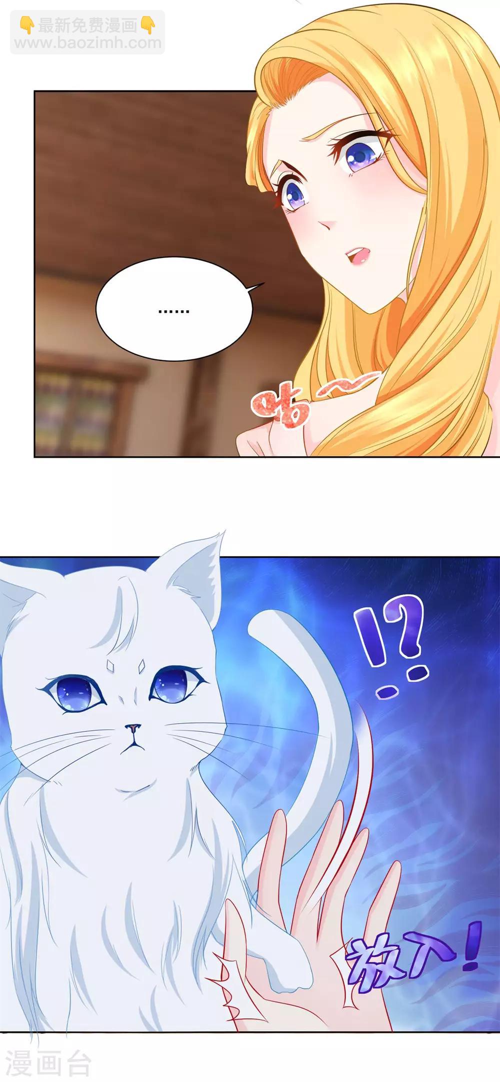 第3话 两只猫-第3话