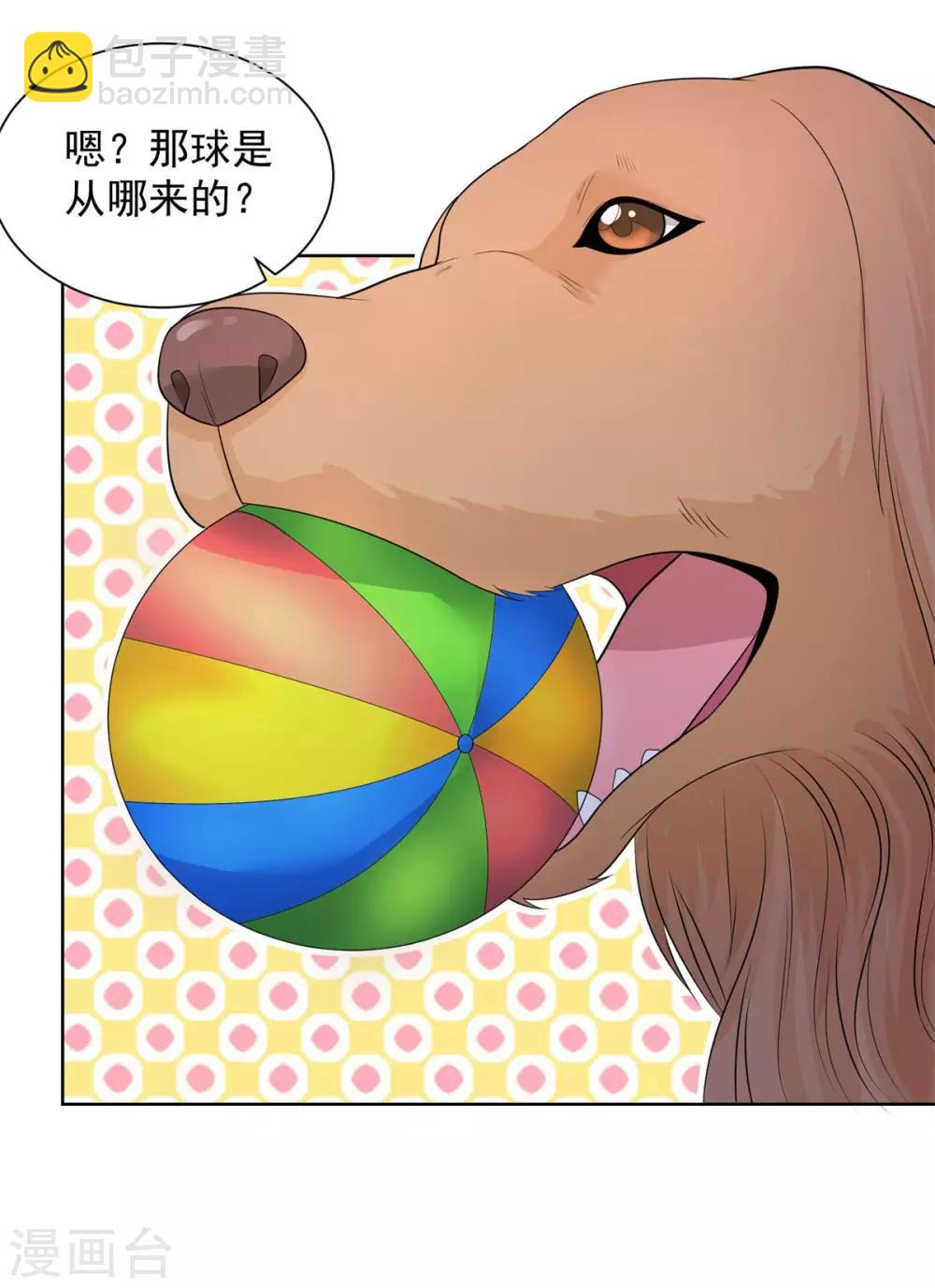 第45话 金毛寻回犬-第45话