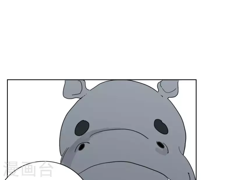 第33话 河马出击！(1/3)-第33话