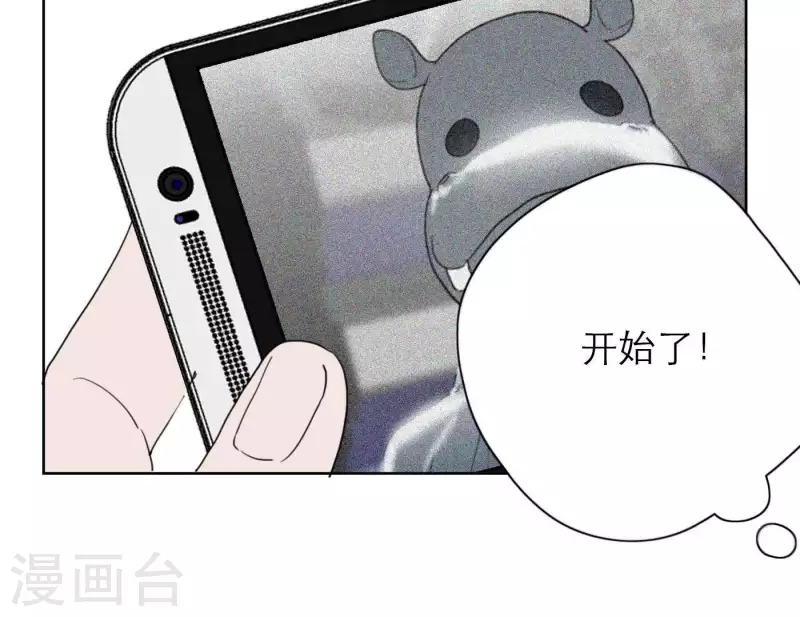 第33话 河马出击！(1/3)-第33话