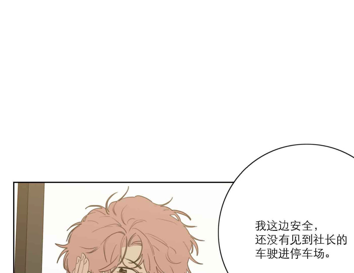 第79话 我的努力被验证(1/3)-第81话