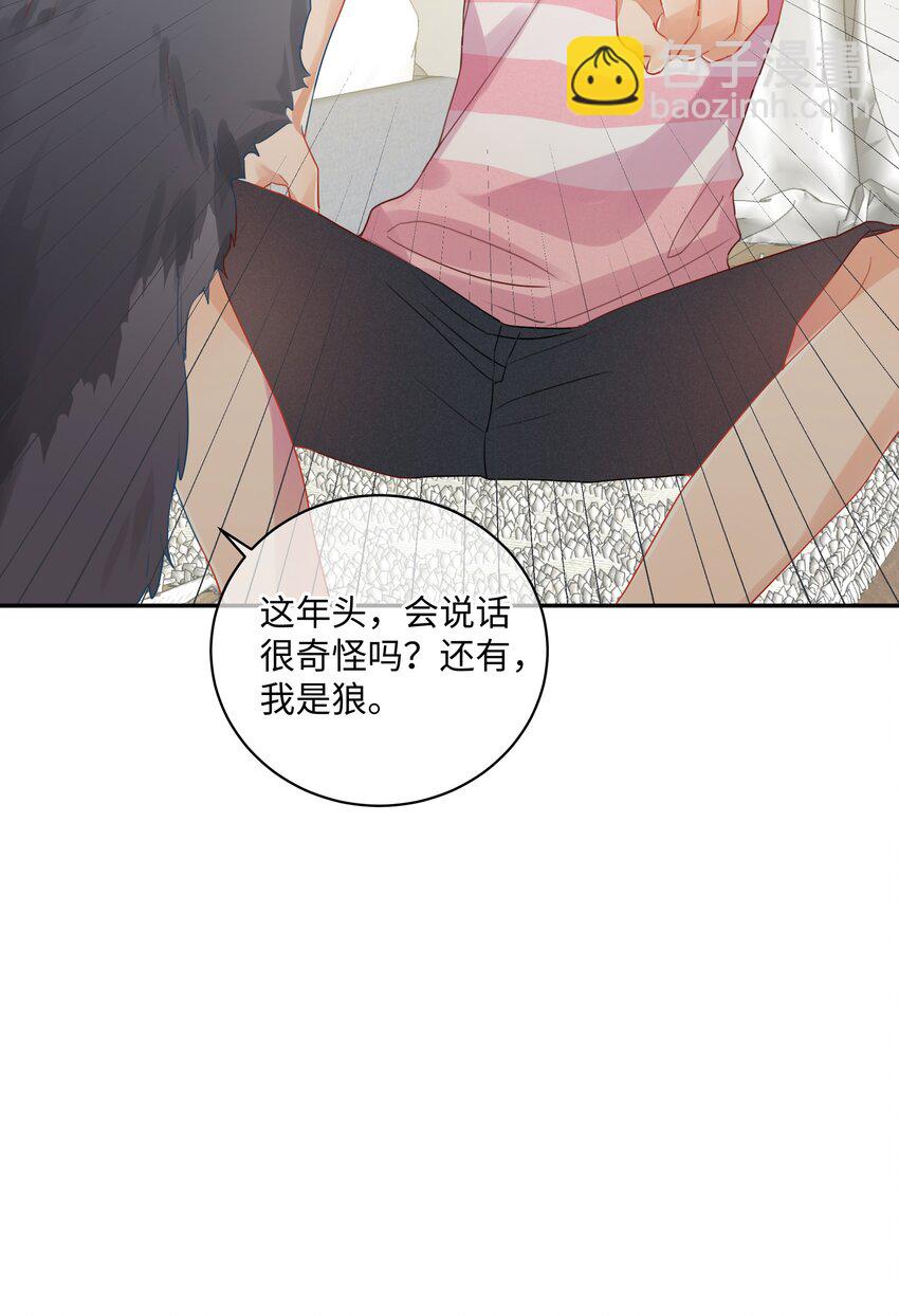 番外 狼的心愿(1/2)-第33话