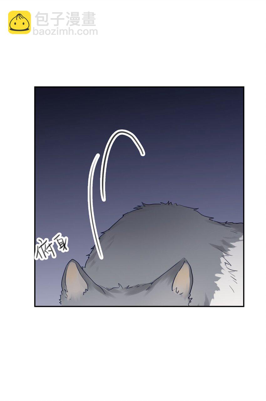 番外 狼的心愿(1/2)-第33话