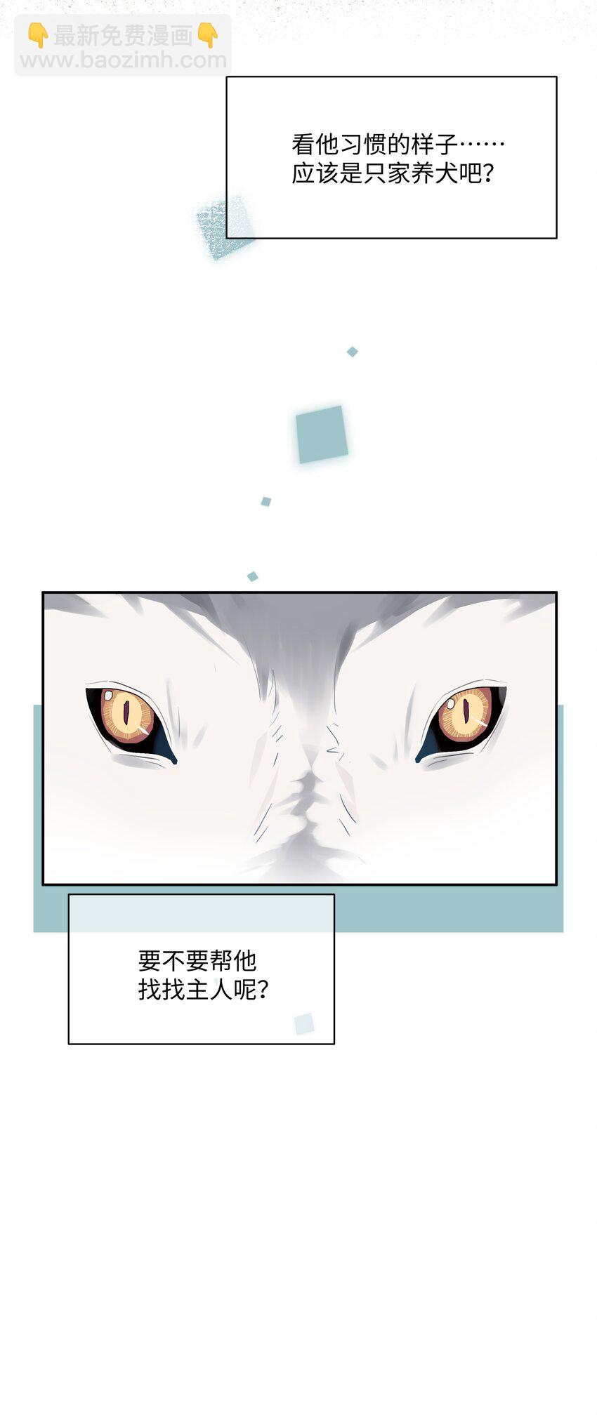 番外 狼的心愿(1/2)-第33话