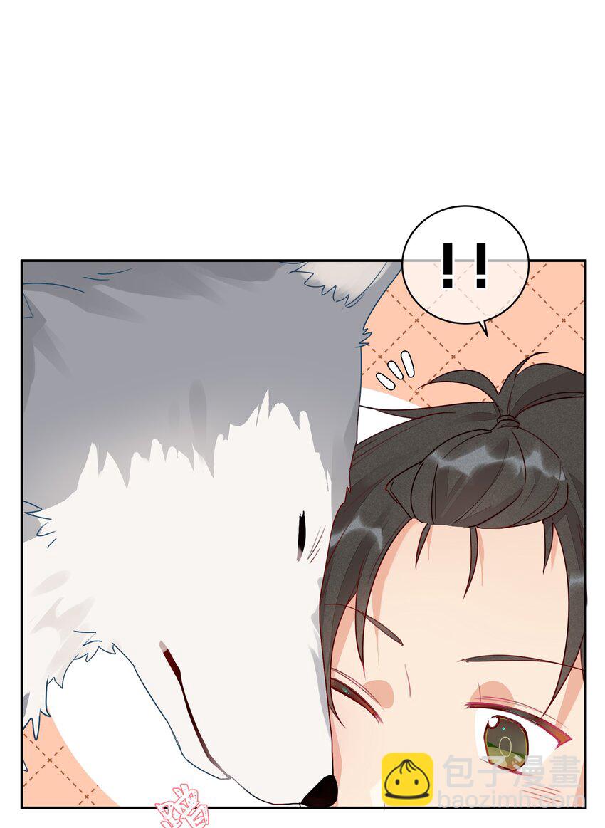 番外 狼的心愿(1/2)-第33话