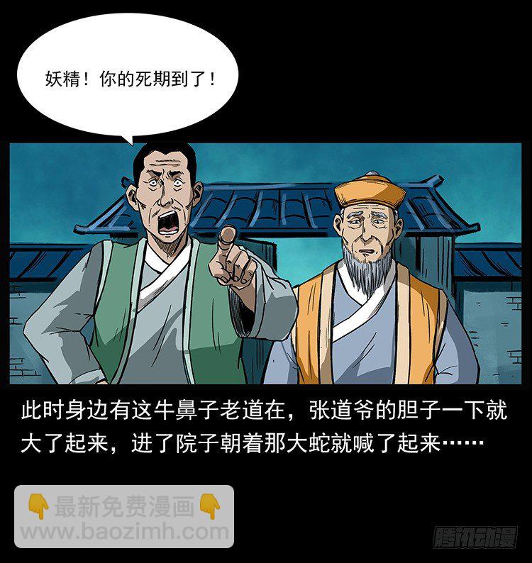 张宅诡影(1/2)-第41话