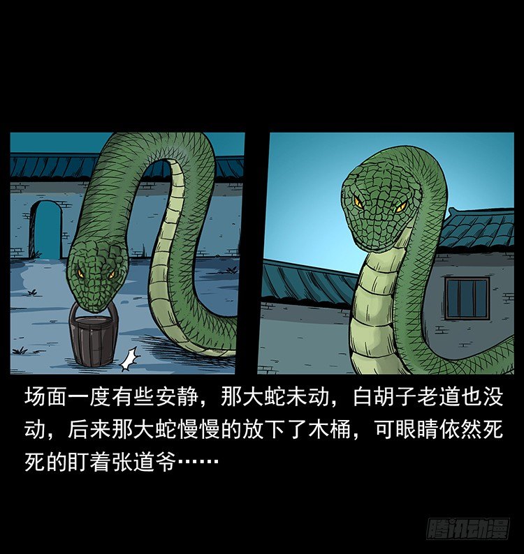 张宅诡影(1/2)-第41话