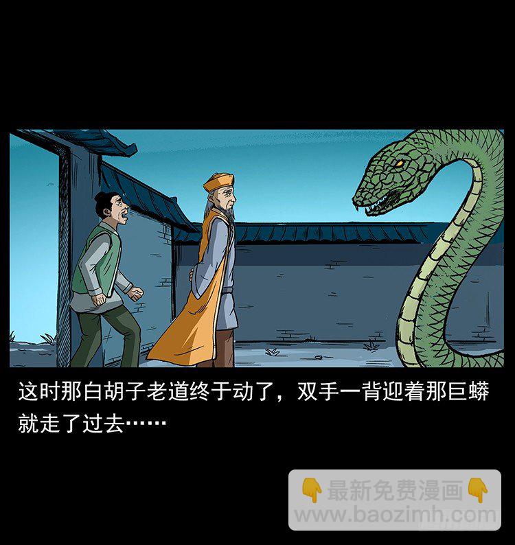 张宅诡影(1/2)-第41话