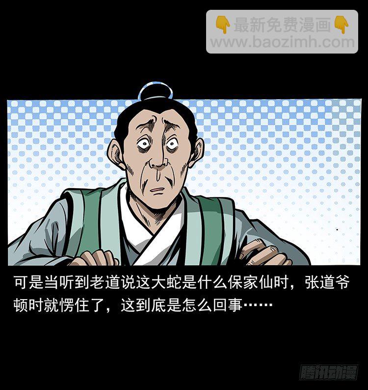 张宅诡影(1/2)-第41话