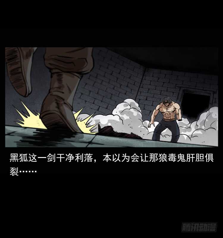 爆发的黑狐(1/2)-第97话