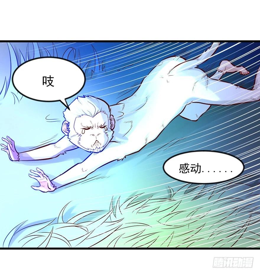 🍚仙商 不给机会啊 第13页