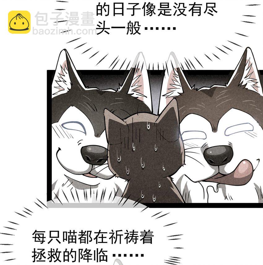 035 你们到底有什么阴谋-第37话