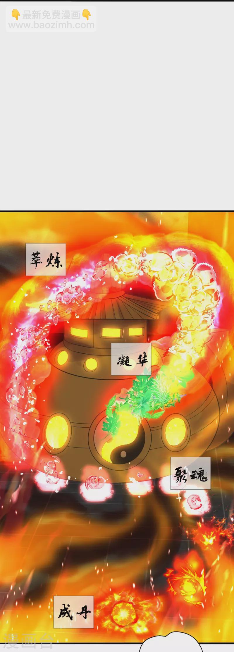 🍚仙武帝尊 第209话 初炼三纹灵丹！ 第5页