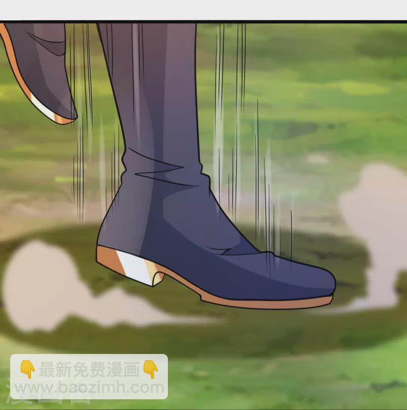 🍚仙武帝尊 第363话 连斩风云！ 第29页