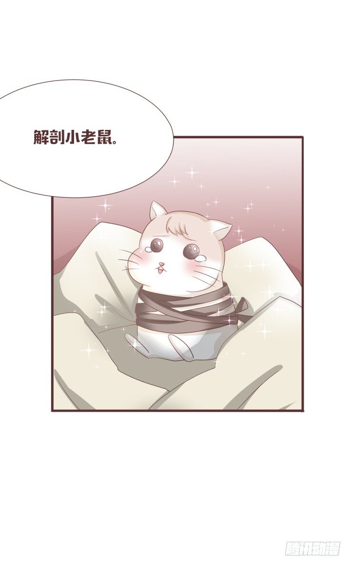 🍚仙音烛 生剖小老鼠?! 第9页