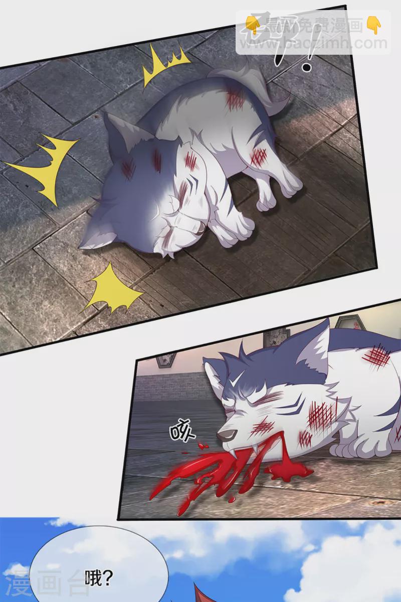 🍚仙尊奶爸当赘婿 第217话 徒有虚名？沈异登场 第10页