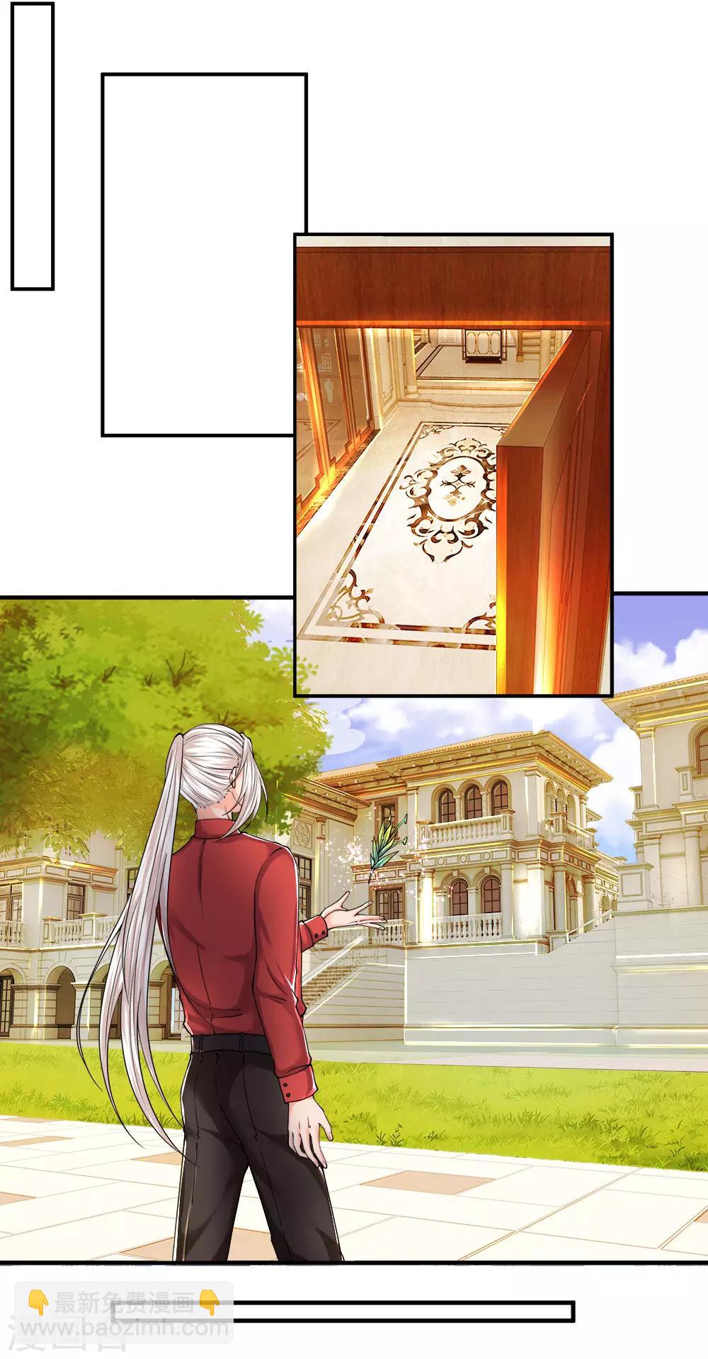 🍚仙尊奶爸当赘婿 第60话 随手一炼，上等灵丹 第3页