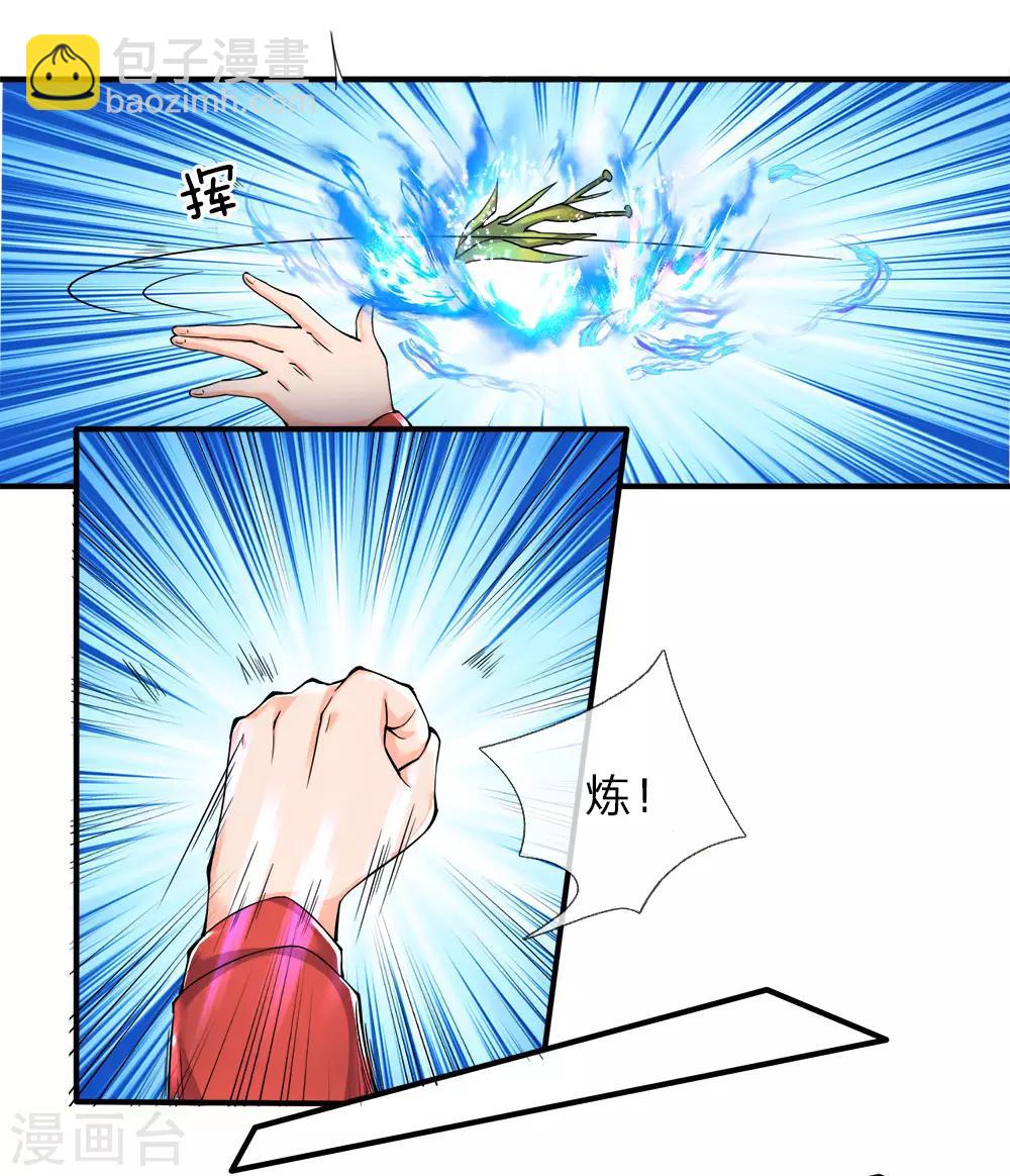🍚仙尊奶爸当赘婿 第60话 随手一炼，上等灵丹 第4页