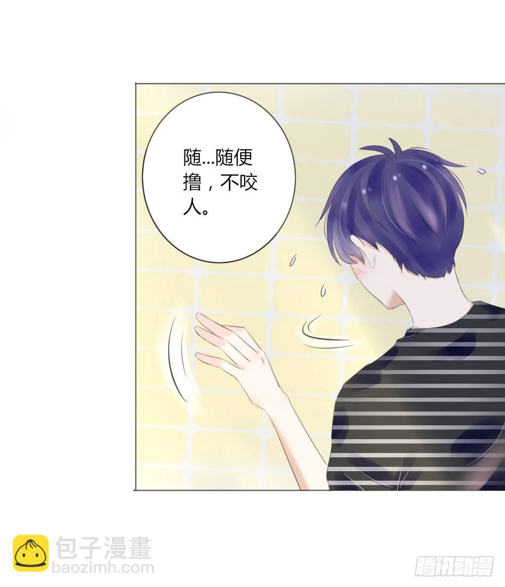 散步（2）-第31话