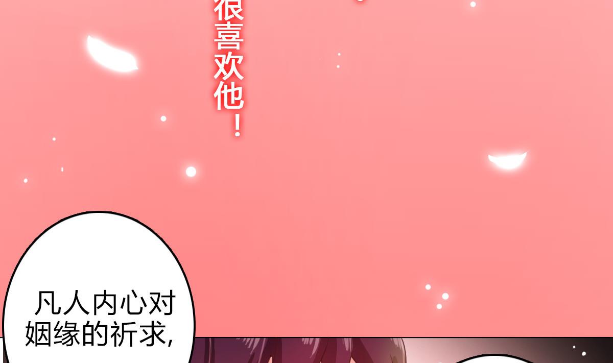 第1话 红线不能乱牵(1/2)-第3话