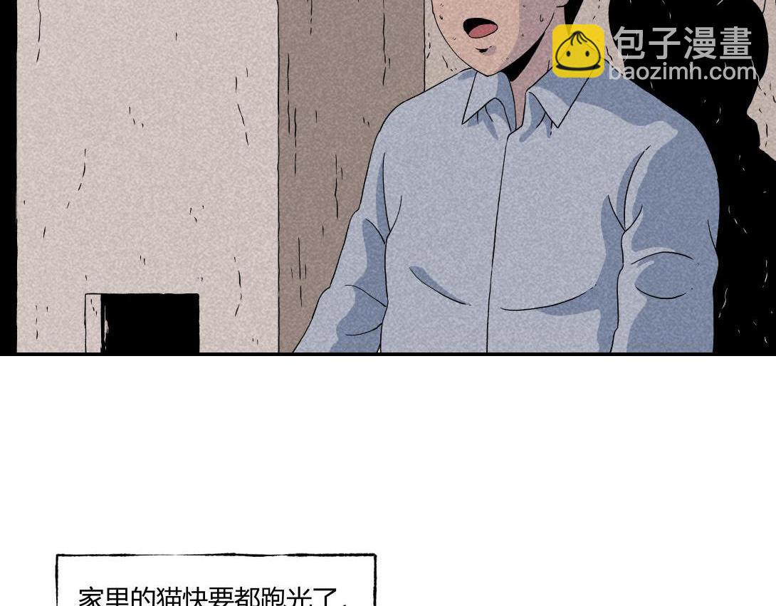 第16话 养猫记-第9话
