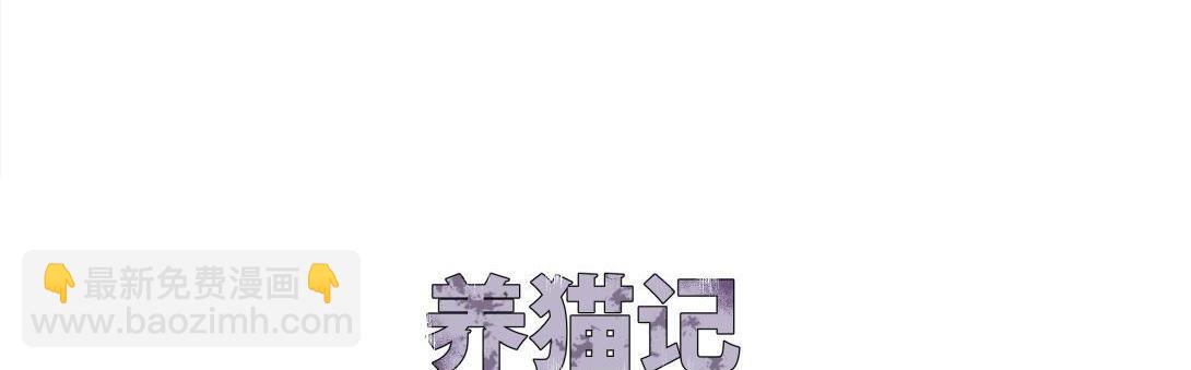 第16话 养猫记-第9话