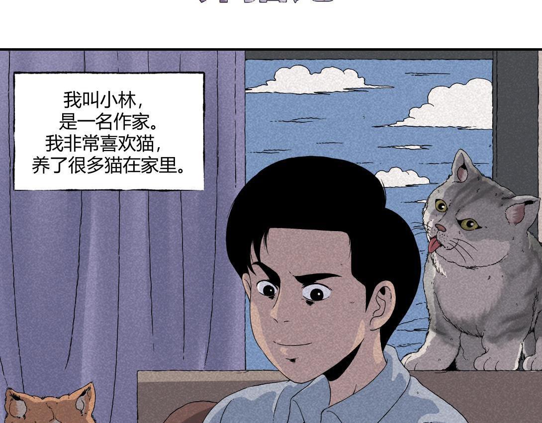第16话 养猫记-第9话