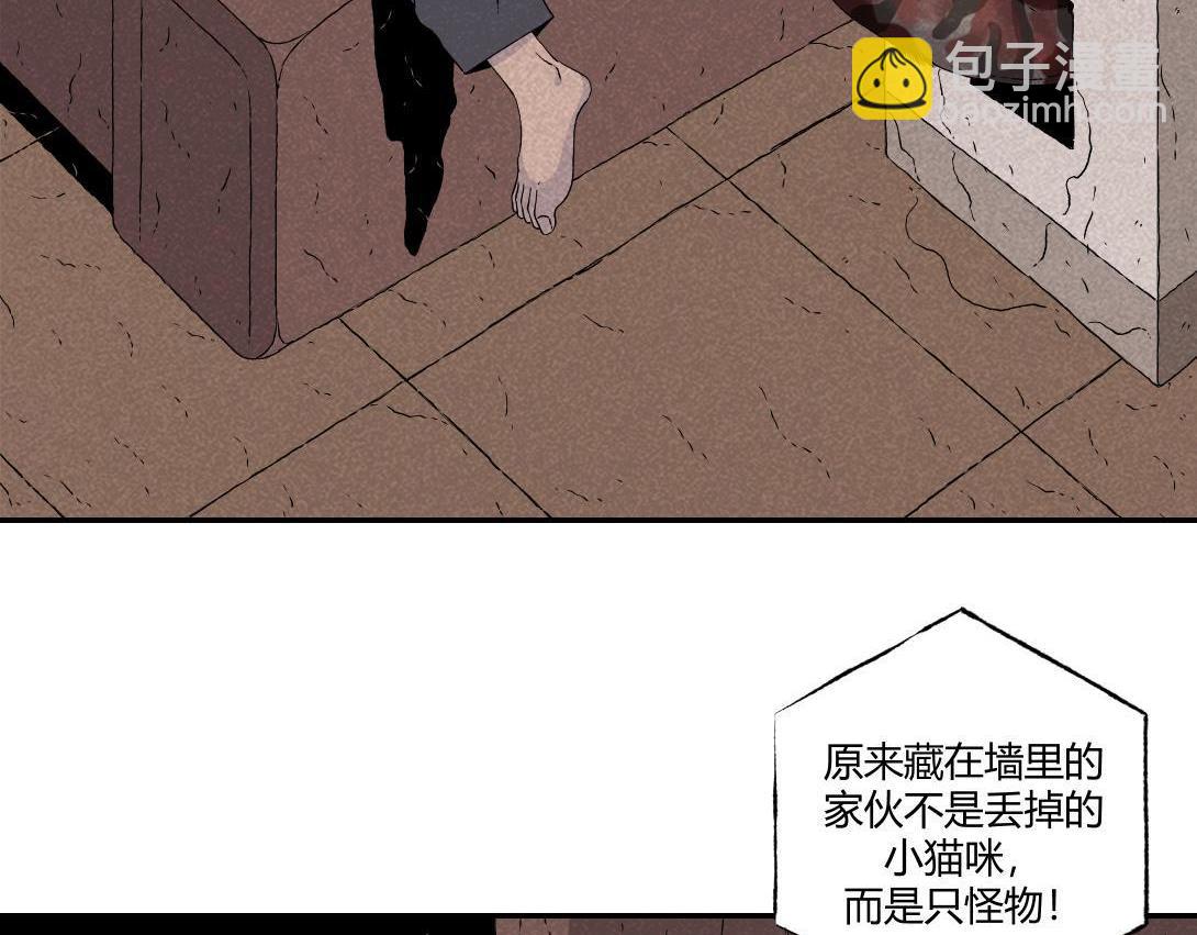 第16话 养猫记-第9话