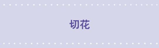 137 切花-第137话