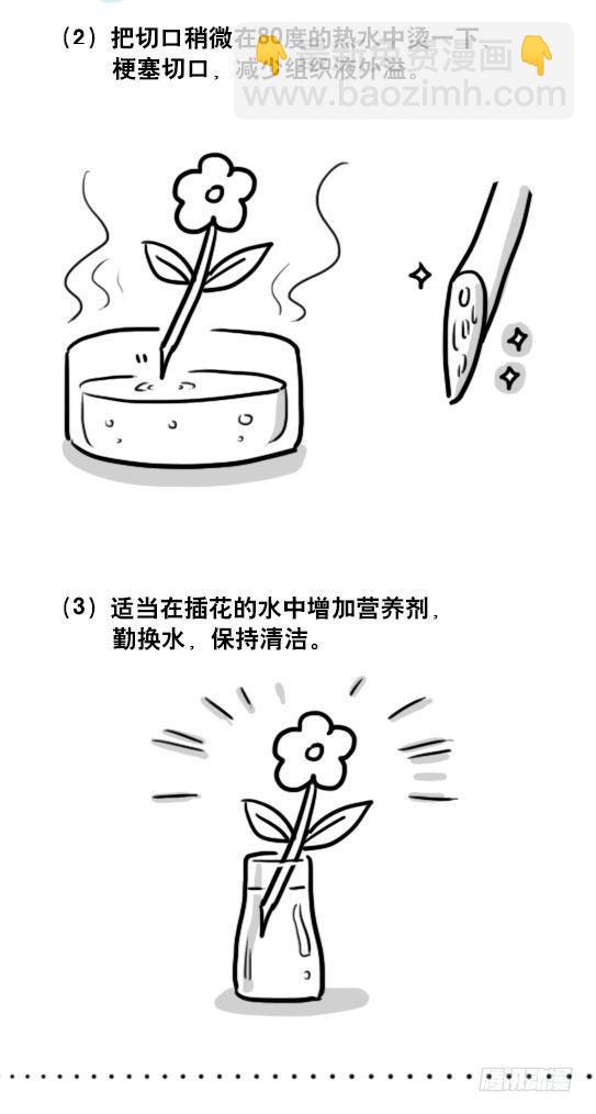 137 切花-第137话