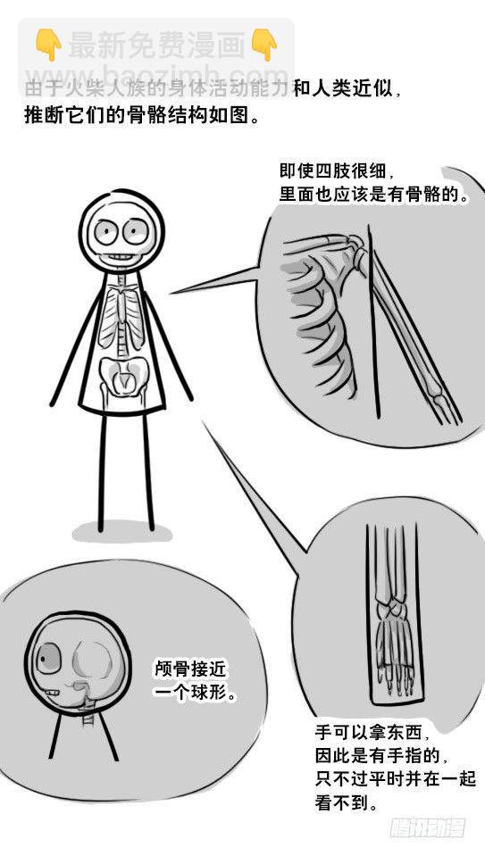 265 火柴人观察报告-第265话