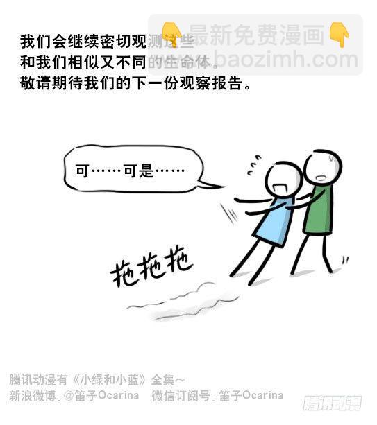 265 火柴人观察报告-第265话