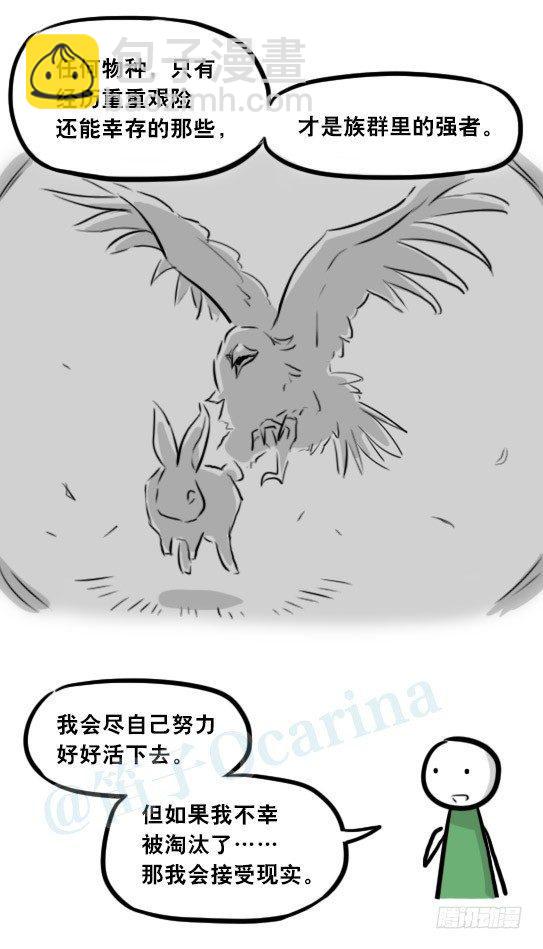 279 鱼(1/2)-第279话