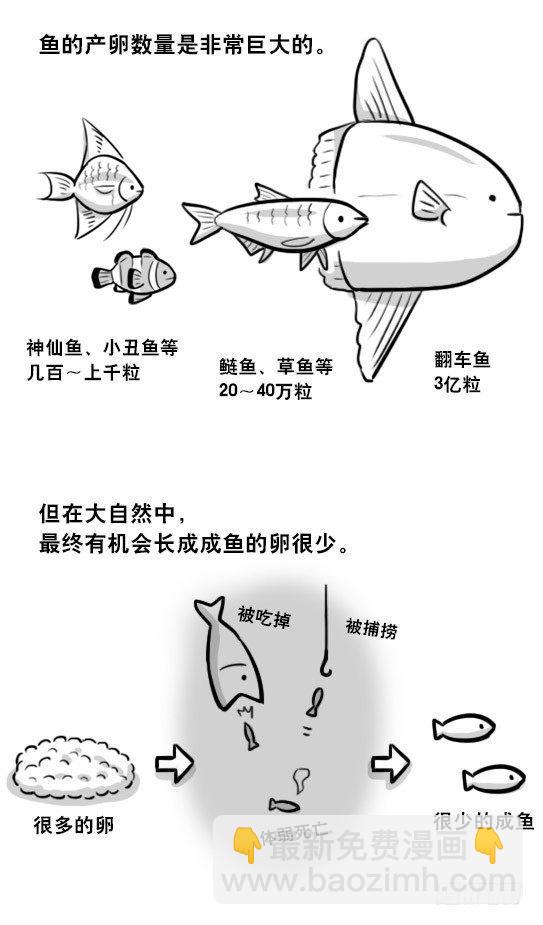 279 鱼(1/2)-第279话