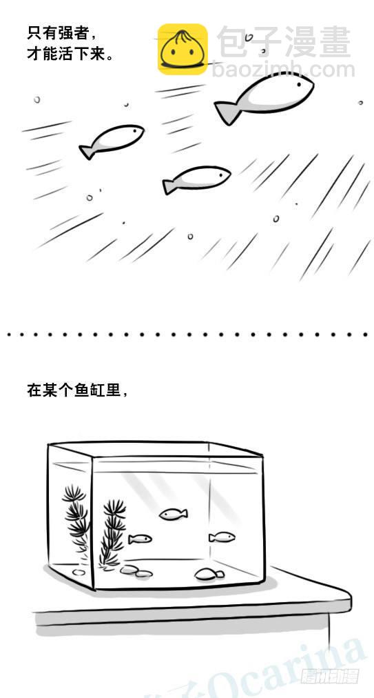 279 鱼(1/2)-第279话