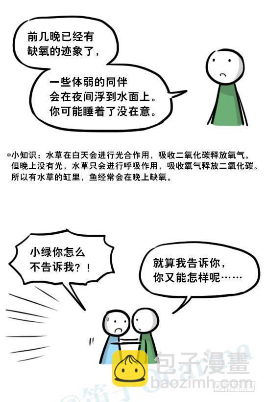 279 鱼(1/2)-第279话